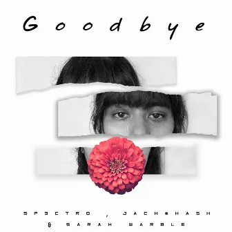 Goodbye by Jach # Hash