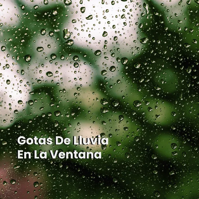 Gotas De Lluvia En La Ventana