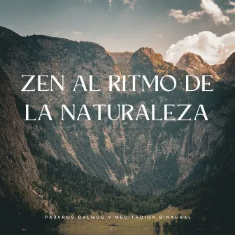 Zen Al Ritmo De La Naturaleza: Pájaros Calmos Y Meditación Binaural by Meditación de 1 hora