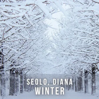 Winter by DIANA