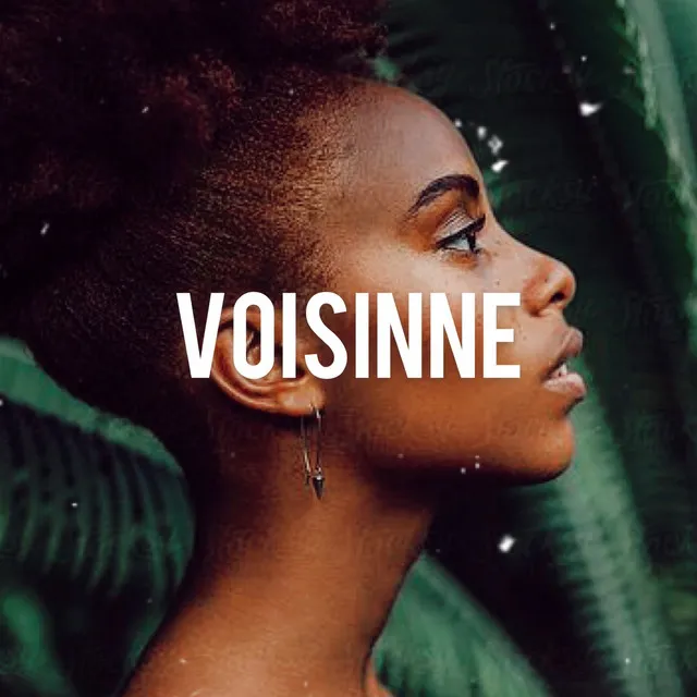 Voisinne