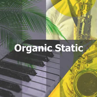 Organic Static by 