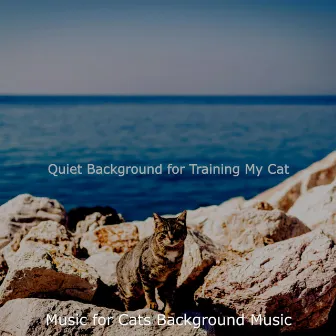 Quiet Background for Training My Cat by Music for Cats Background Music