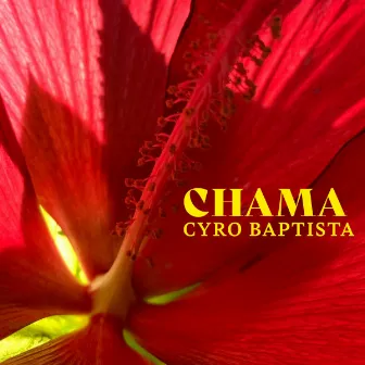 Chama by Cyro Baptista