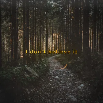 I Don't Believe It by Mirawin