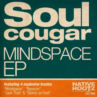 Mindspace by Soul Cougar