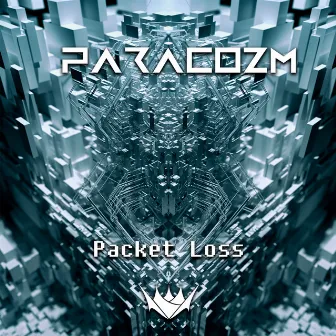 Packet Loss by Paracozm