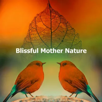 Blissful Mother Nature by The Nature Sound Collector