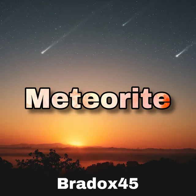 Meteorite