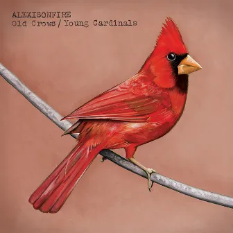 Old Crows / Young Cardinals by Alexisonfire