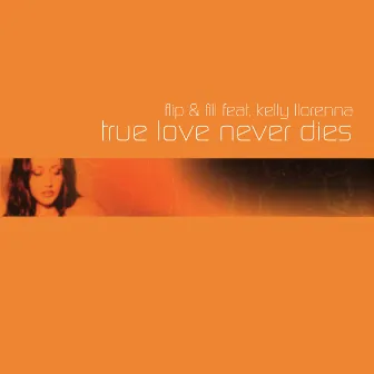 True Love Never Dies by Flip & Fill