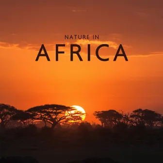 Nature In Africa by 