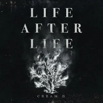 LIFE AFTER LIFE by CREAM D