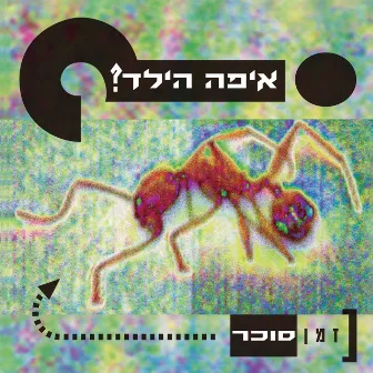 זמן סוכר (מהדורת הויניל) by Eifo HaYeled