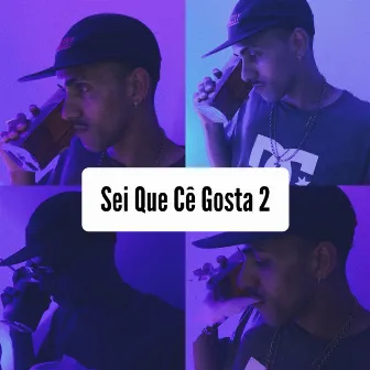 Sei Que Cê Gosta 2 by GaMC