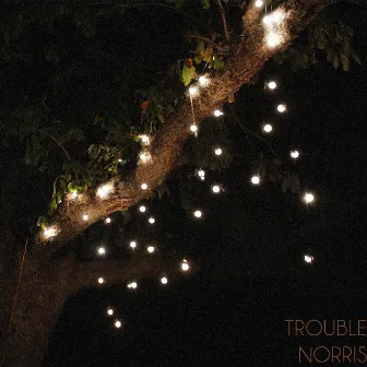 Trouble by Norris