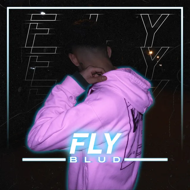 Fly