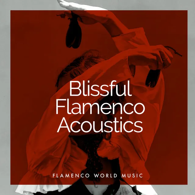 Blissful Flamenco Acoustics