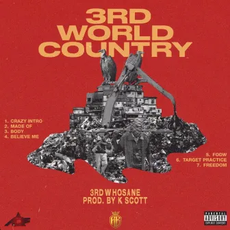 3RD WORLD COUNTRY by 3rd Whosane