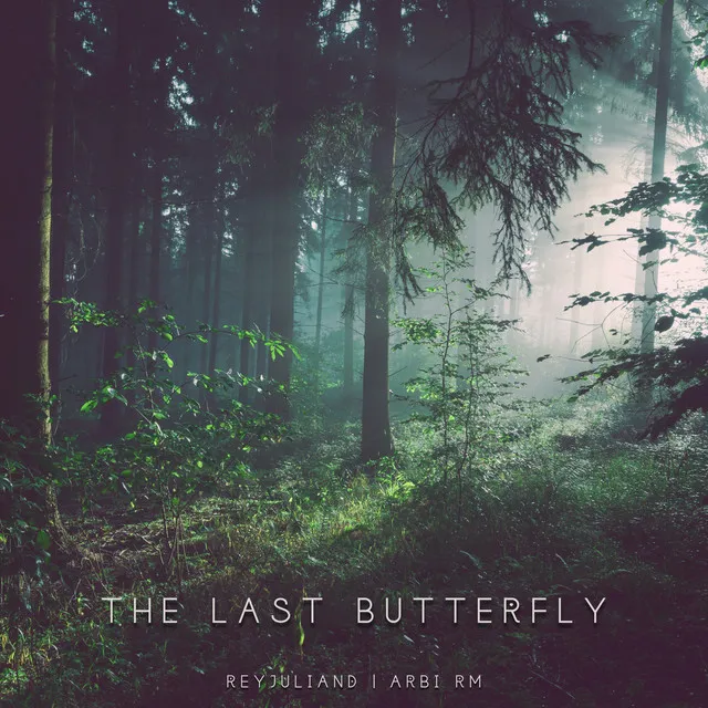 The Last Butterfly - Piano version