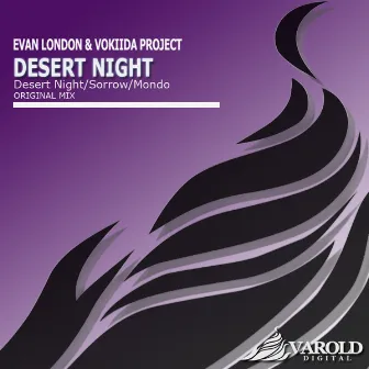 Desert Night by Evan London