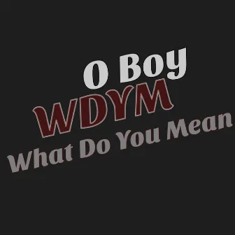 Wdym What Do You Mean by O Boy