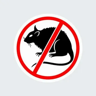 No Rats Allowed by KEL