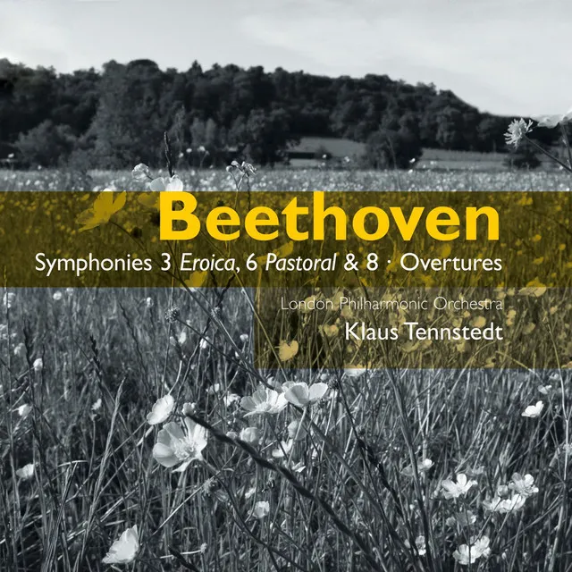 Beethoven: Symphony No. 6 in F Major, Op. 68 "Pastoral": IV. Gewitter. Sturm. Allegro -