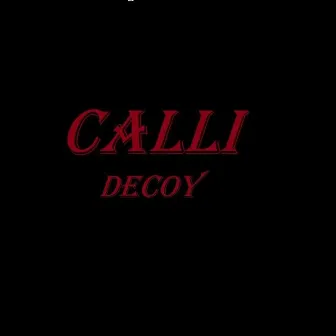 Decoy by Calli Callihan