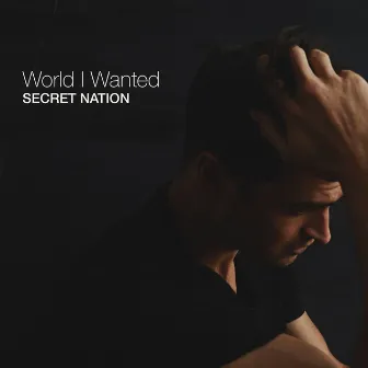 World I Wanted by Secret Nation