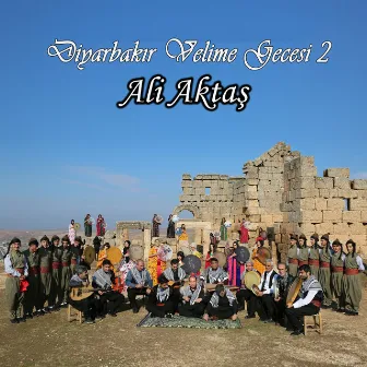 Diyarbakır Velime Gecesi, Vol. 2 by Ali Aktaş