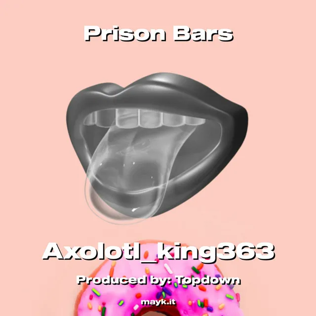 Prison Bars