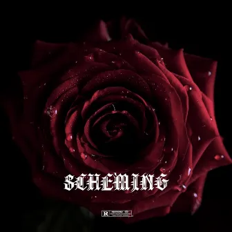 Scheming by Jae