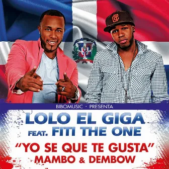 Yo Se Que Te Gusta: Mambo & Dembow Mixtape by Lolo el Giga