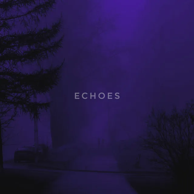 echoes - Remix