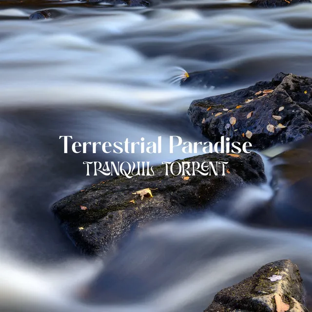 Tranquil Torrent (Loopable River)