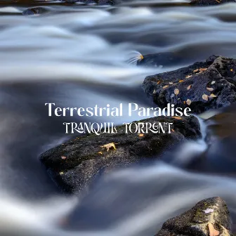 Tranquil Torrent (Loopable River) by Terrestrial Paradise