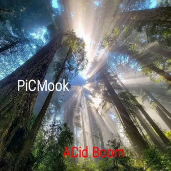 ACid Boom by Picmook