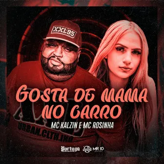 Gosta de Mama no Carro by MC Rosinha