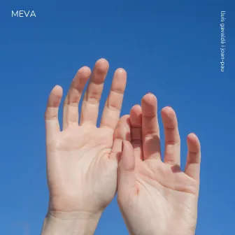 Meva by Lluís Gavaldà