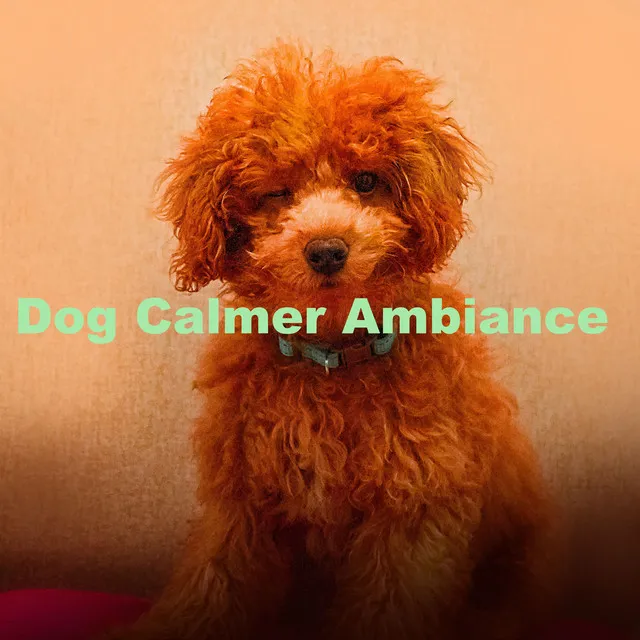 Dog Calmer Ambiance