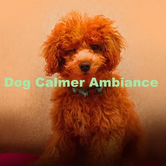 Dog Calmer Ambiance by Dog's Music