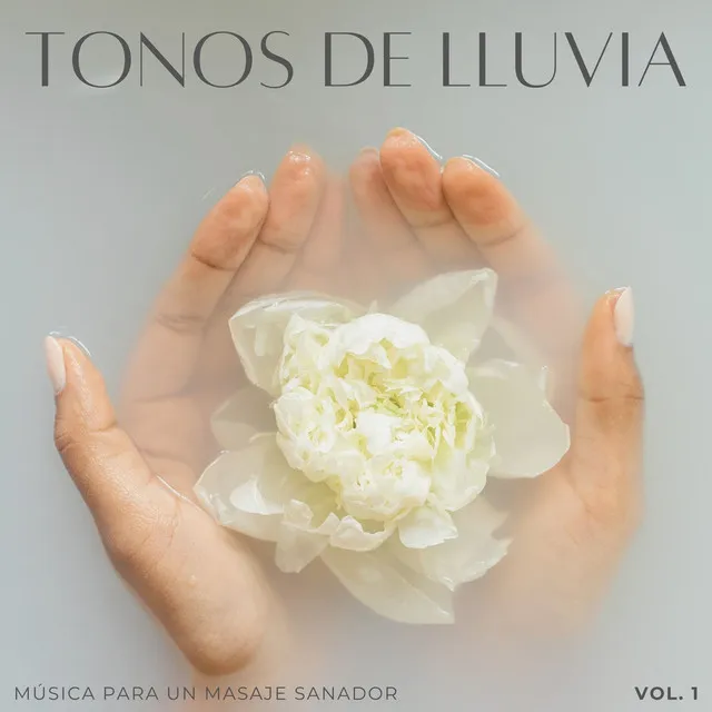 Tonos De Lluvia: Música Para Un Masaje Sanador Vol. 1