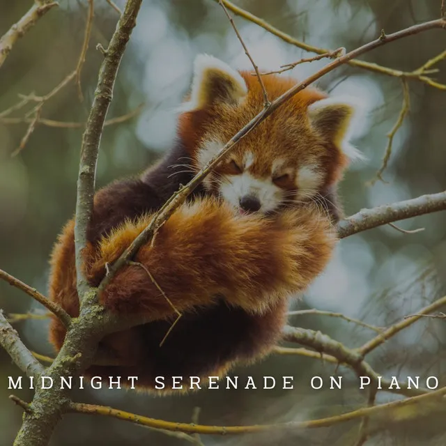 Midnight Serenade on Piano