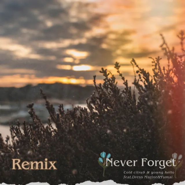 Never Forget (feat. Yumai & Dress marine) [Remix]