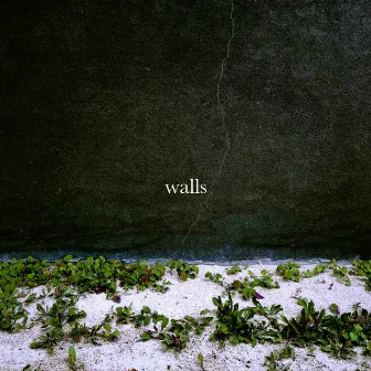 Walls by Search For Hiraeth