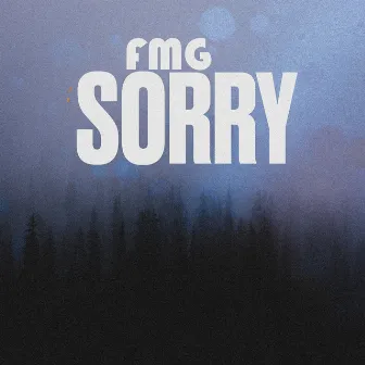 Sorry by FMG