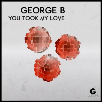 You Took My Love by George B