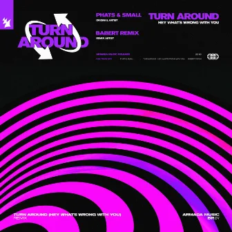 Turn Around (Hey What's Wrong With You) [Babert Remix] by Babert