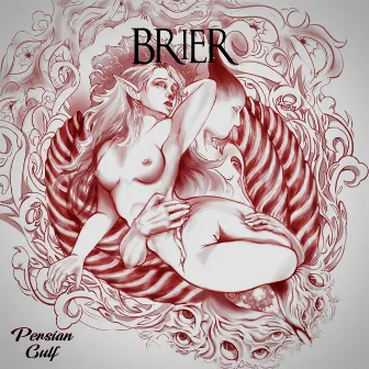 Brier by Persian Gulf